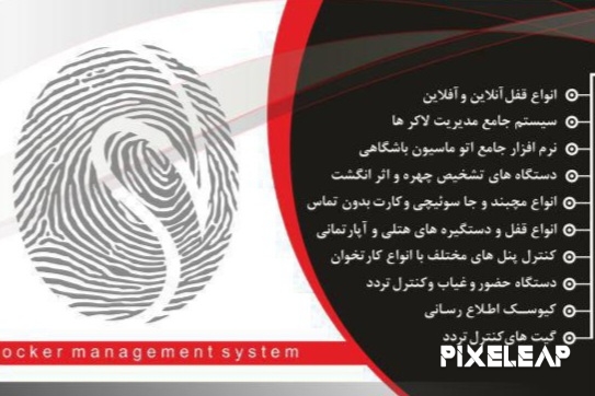 همه چیز درباره پایا ویستا ویژن